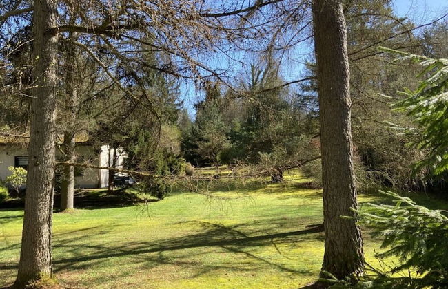 Waldzauber Comfortable Holiday Residence - Photo 30