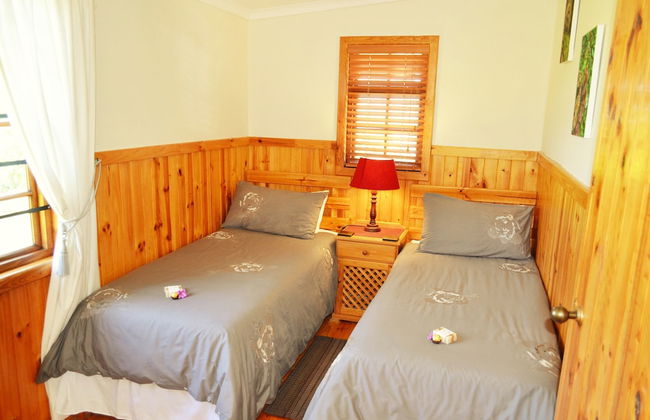 Forest Edge - Foto 6