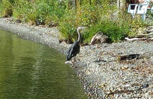 C19 Conscious, QUIET, ADULT Lake View Rental - Foto 24