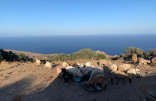 Sunrise dream - Foto 55