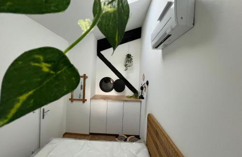 Louis XIV, Le Somail. - Foto 47