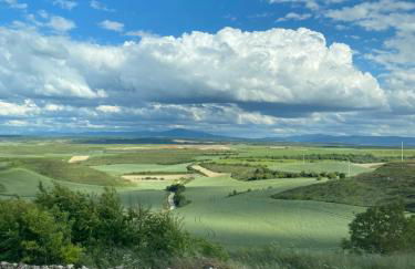 Fresno Vista - Photo 42