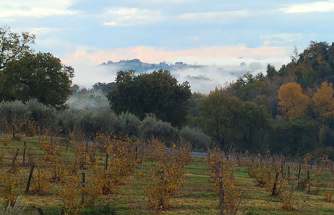 La Nocciolaia - Photo 34