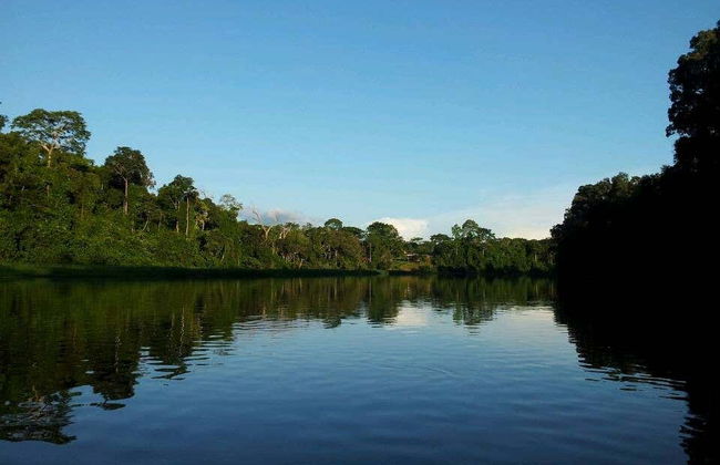 Excursion au Parc national de la Mefou et à la réserve forestière d'Ebogo - Photo 1