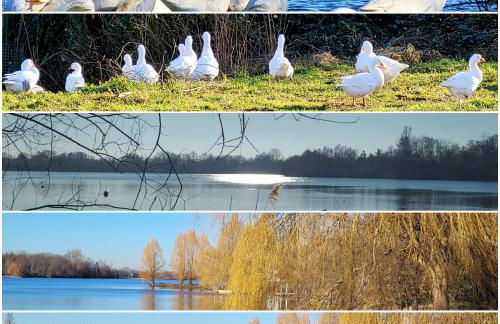 Ferienwohnung Casa Di Lago - Foto 45