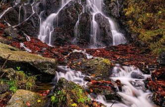 Eldorstal 1 - Ferienwohnung in Bad Harzburg mit Hund - direkt am Nationalpark - 1000 qm Garten - Foto 20