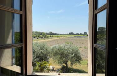 Villa spacieuse à Richerenches - Foto 44