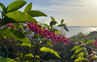 La mia casa sul lago con vista mozzafiato - Foto 41