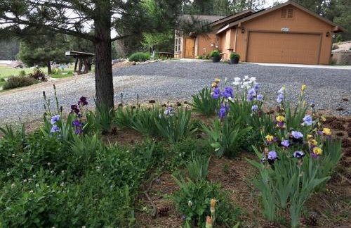 Luxury Cabin Rental with a Fire Pit in Coulterville, California - Foto 23