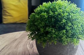 Sleep & Fly & Stay I Comfort Apartament - Foto 47