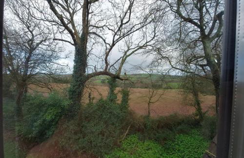 3.9. Tudor Court - Foto 18