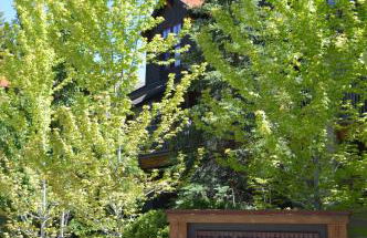 The Timbers 2G - Foto 20