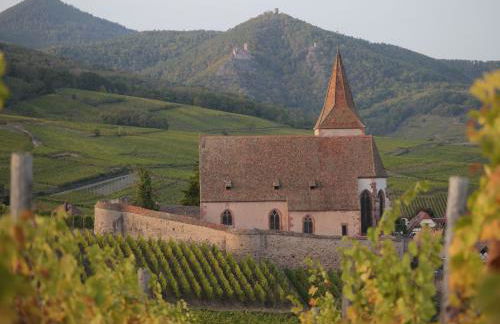 Charmant appartement rénové pour 4 pers avec terrasse à Hunawihr - FR-1-744-14 - Foto 30