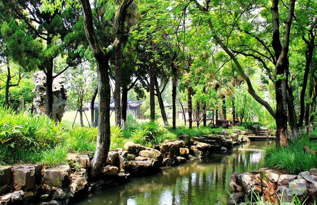Scopri la famosa città sull'acqua di Zhujiajiao - Tour di mezza giornata - Foto 1