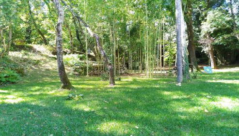 Short Rent Il Casale - Foto 3, Garden