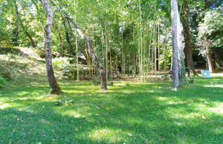 Short Rent Il Casale - Foto 3