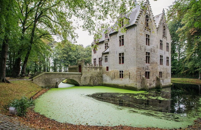 Beautiful Villa Near the Sea - Photo 64