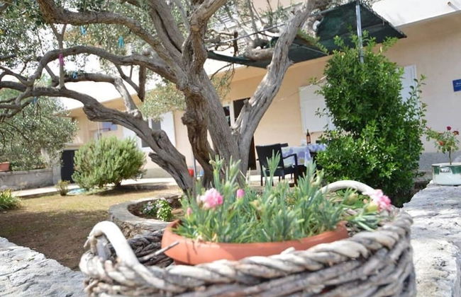 Martina - Large and Comfortable Apartments - SA2 - Photo 10