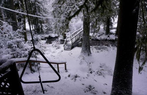 Secluded Forest Cabin in Rhododendron near Mt Hood Village in Oregon - Foto 6