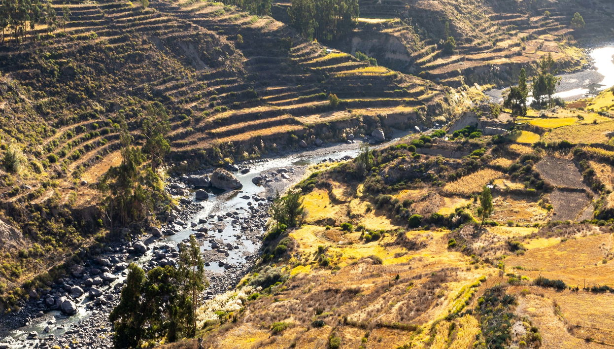 Excursion à Chivay et au Canyon de Colca