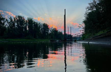 Blue Heron Sanctuary & Serene, river-front cottage - Foto 60