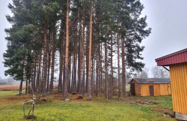 5 Person Holiday Home in Dala-jarna - Foto 20