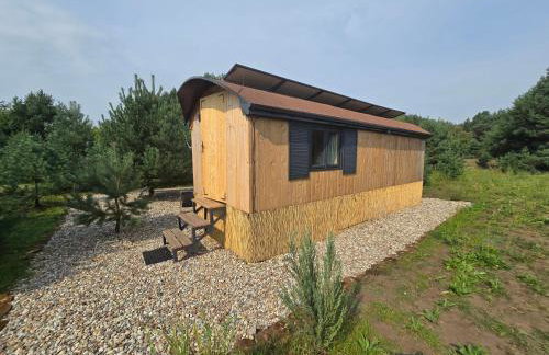 Oaza Święty Spokój - domek z balią i jacuzzi - Foto 3