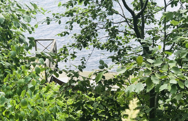 Apple Tree Cabin With River Views - Foto 27