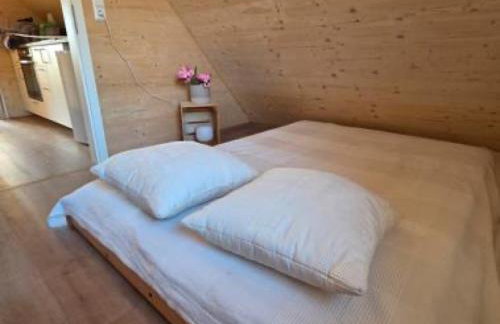 Schwarzwaldblick Rothaus - Foto 20