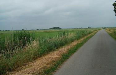 Ferienhaus Rosengarten - Foto 12