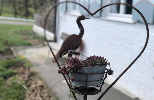 Ferienwohnungen Britta Heim - Photo 74