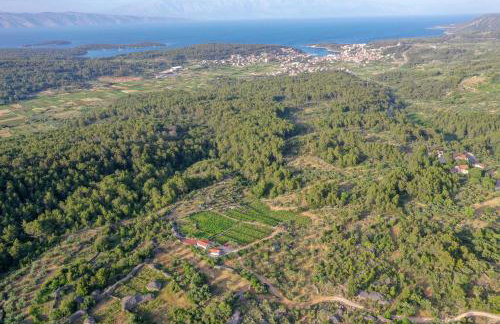 Holiday house with a parking space Pitve, Hvar - 17397 - Photo 2
