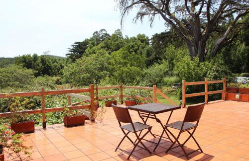 Bio Quinta do Pantano, Agro Turismo - Foto 12