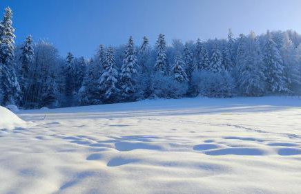 Domek Pierwiosnek Ustroń - cisza, las, balia i totalny relaks - Ucieknij od zgiełku i poczuj spokój natury - Photo 60