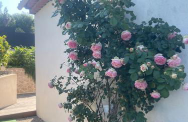 Villa l'art de fer - Foto 33