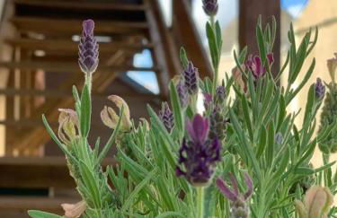 Le grand Loré - Foto 6