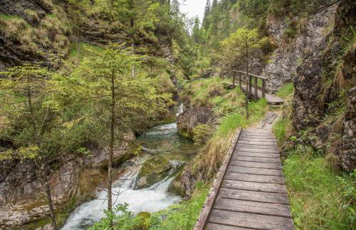 Ferienwohnungen Ilsanker - Doffenlehen - Foto 28