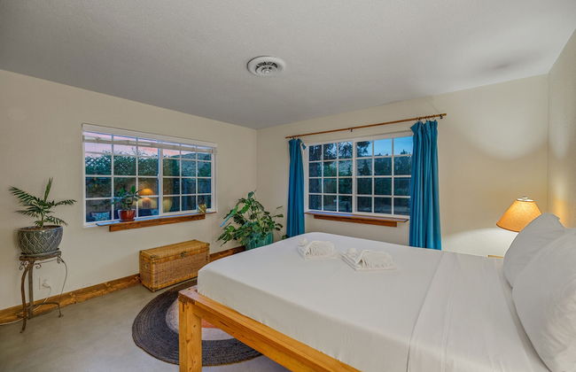 The Juniper - Foto 6