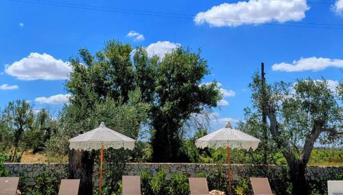 Case Fra Gli Ulivi - Foto 3