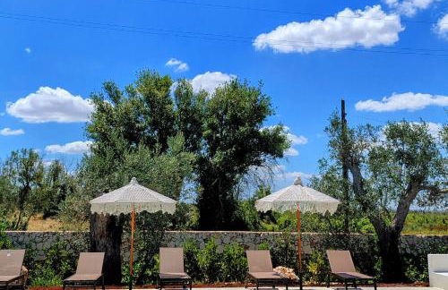 Case Fra Gli Ulivi - Foto 3