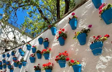 Mon paradis au soleil - Photo 47