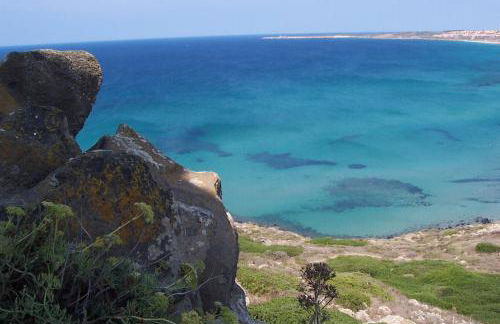 Agriturismo Le Mimose - Foto 20