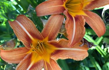 Into The Green Apartment - Foto 27