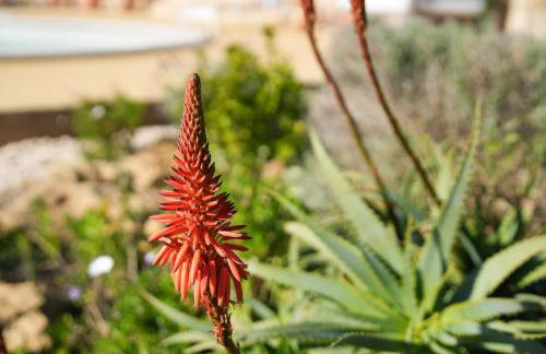 Cliffside Boho Villa - Foto 56