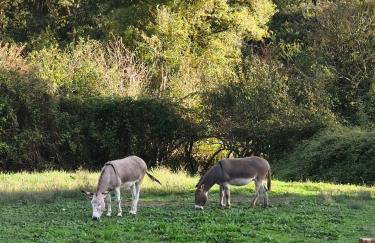 La Grange des Bastides - Foto 20