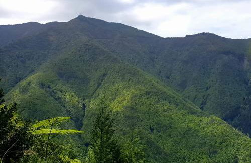 Azor International Apartment II - Foto 26