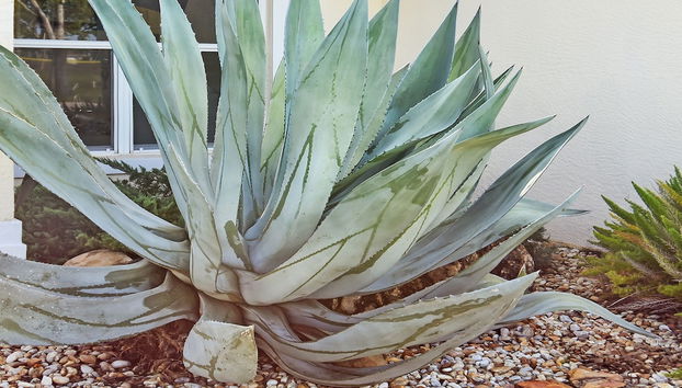 Su Casa - XXL Pool Area Pool Spa 3 Bedroom 2 Bath - Foto 2, Quarto