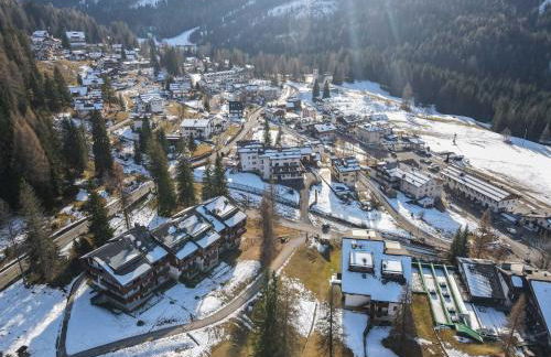 Petit Cirsio - Foto 22