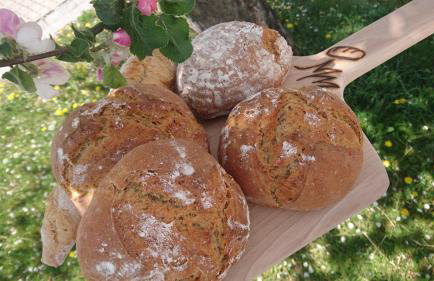 Ferienwohnung Schmied - Foto 20