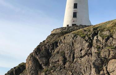 Pen Braint - Foto 31